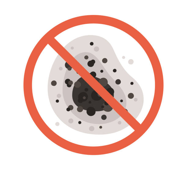 Mold Remediation for Rental Properties in West Point, UT