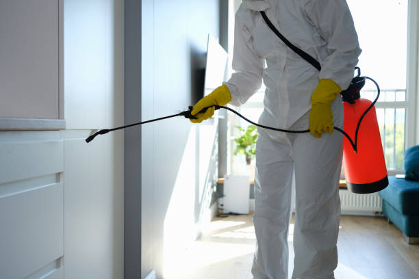 Best Industrial Mold Remediation  in West Point, UT