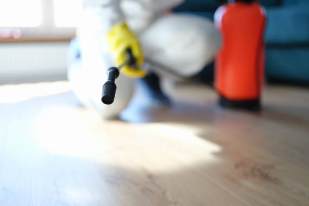Best Basement Mold Removal  in West Point, UT