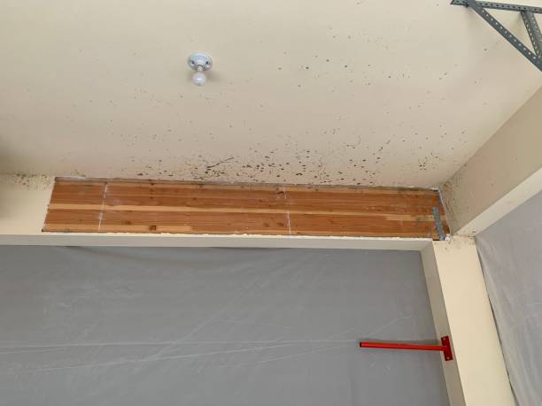 Best Indoor Air Quality Assessment  in West Point, UT